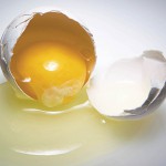 In the News: American Egg Board Tried To Scramble Hampton Creek’s Success