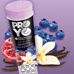 ProYo Invades Military Bases, Sees Alignment with Military Consumers