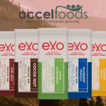 Big Infestment: Insect Protein Brand Exo Lands $4 Million Round