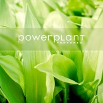 Powerplant Ventures Closes Fund to Help Grow Plant-Based Brands