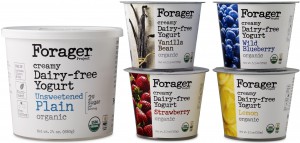 Forager Project Launches Dairy-Free Cashew Yogurts | Nosh.com