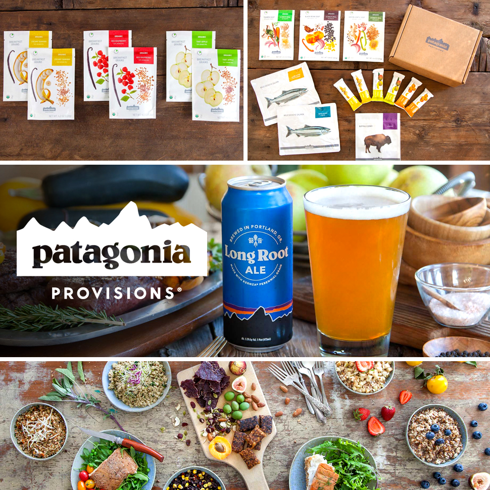 Image result for patagonia provision