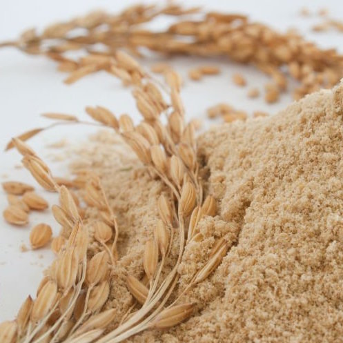 RiceBran Technologies Showcases Full Line of Organic Rice Bran Products ...