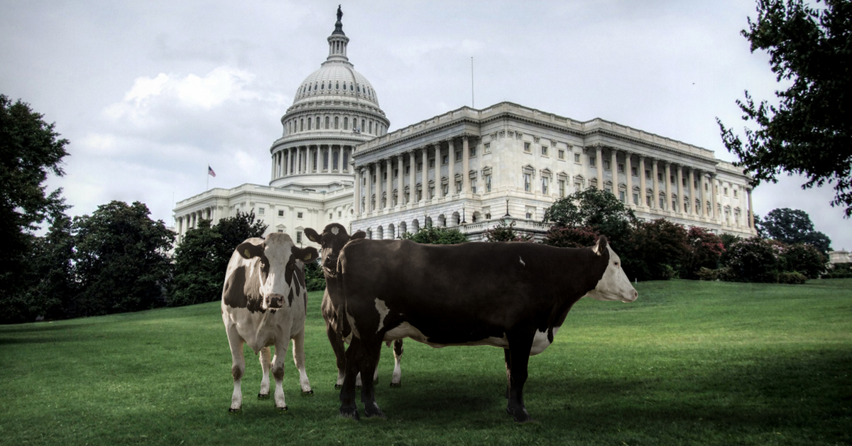 PlantBased Brands Lobby Against Dairy Pride Act NOSH