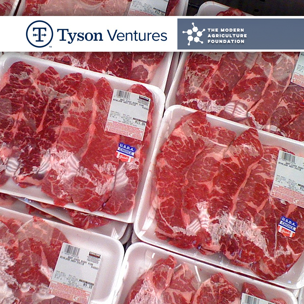Tyson Ventures Invests in Clean Meat Startup Thumbnail