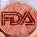 The Checkout: FDA to Hold Meeting About Cultured Food Products