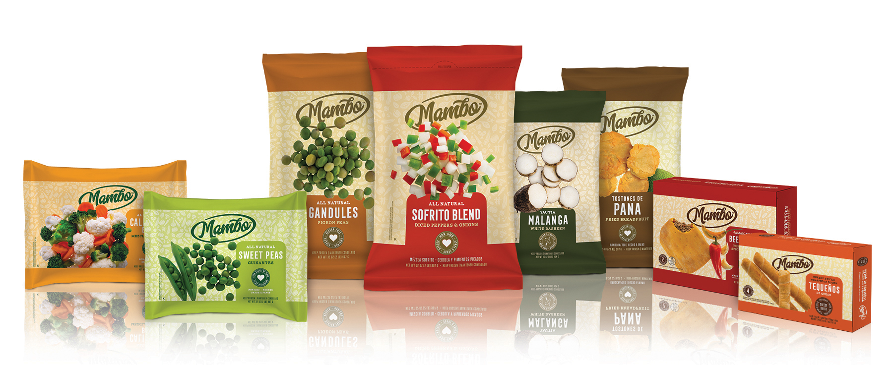 Quirch Foods Names Facility At Chaplin School Establishes First