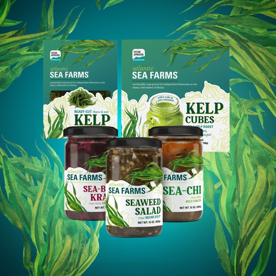 With New Line, Atlantic Sea Farms Tries to ‘Kelp the Earth’
