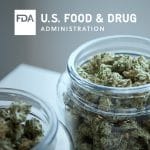 FDA Holds First Hearing on Cannabis Products
