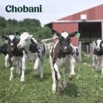 Chobani, Fair Trade USA to Launch Dairy Certification Label