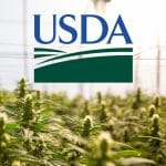 Industry Responds to USDA Hemp Guidelines
