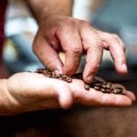 Instant Evolution: Brands Brew Buzz Through Appeal to Culture, Sustainability