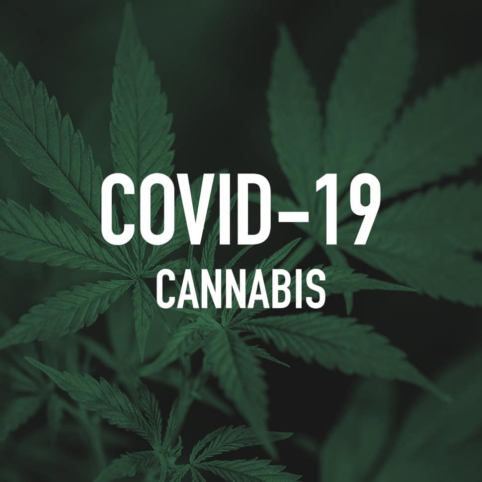 Cannabis, CBD Brands Feel Impact of COVID-19