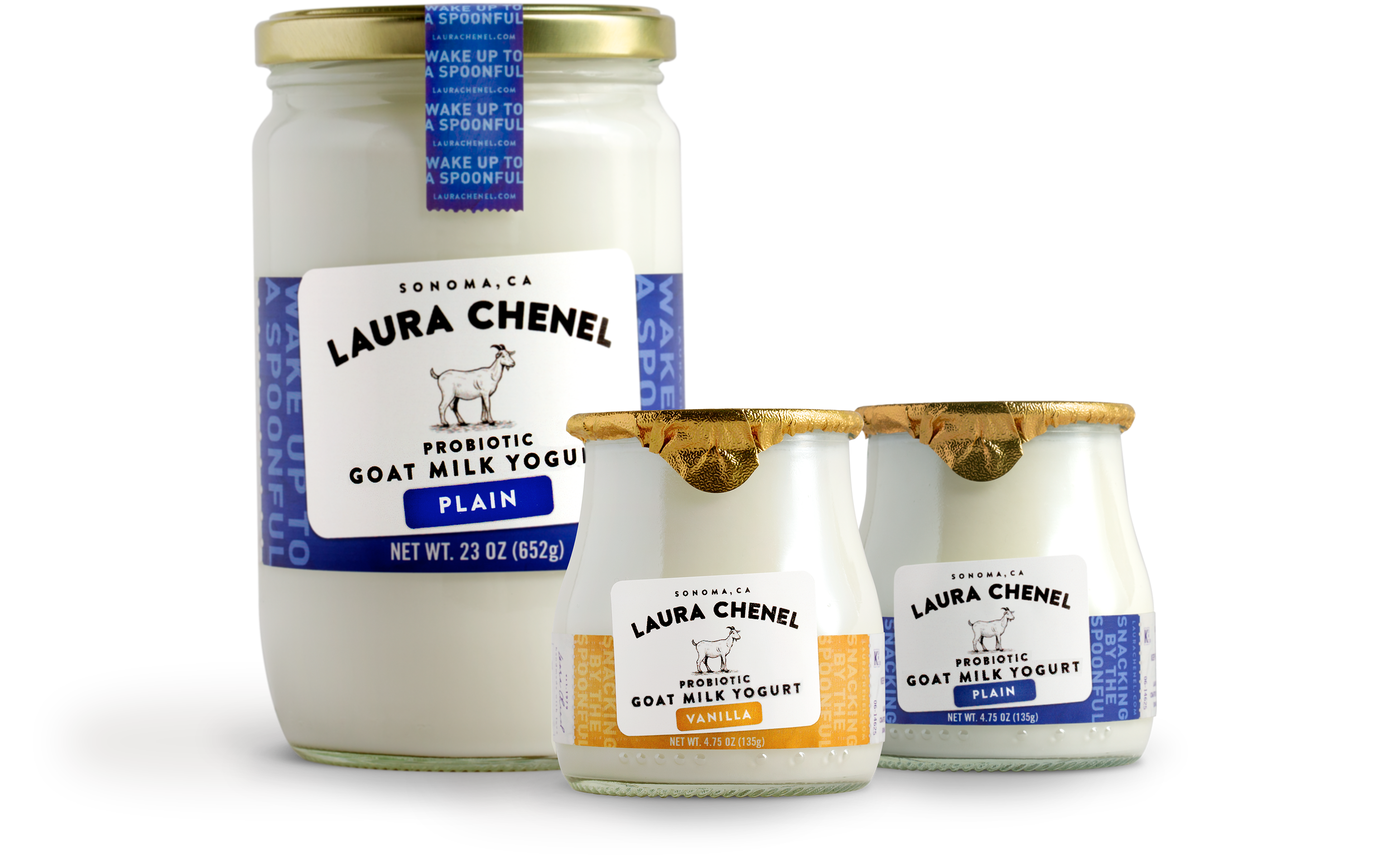 Laura Chenel Probiotic Goat Milk Yogurt Expands Distribution