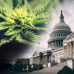 Federal Decriminalization of Marijuana Proposed in Senate