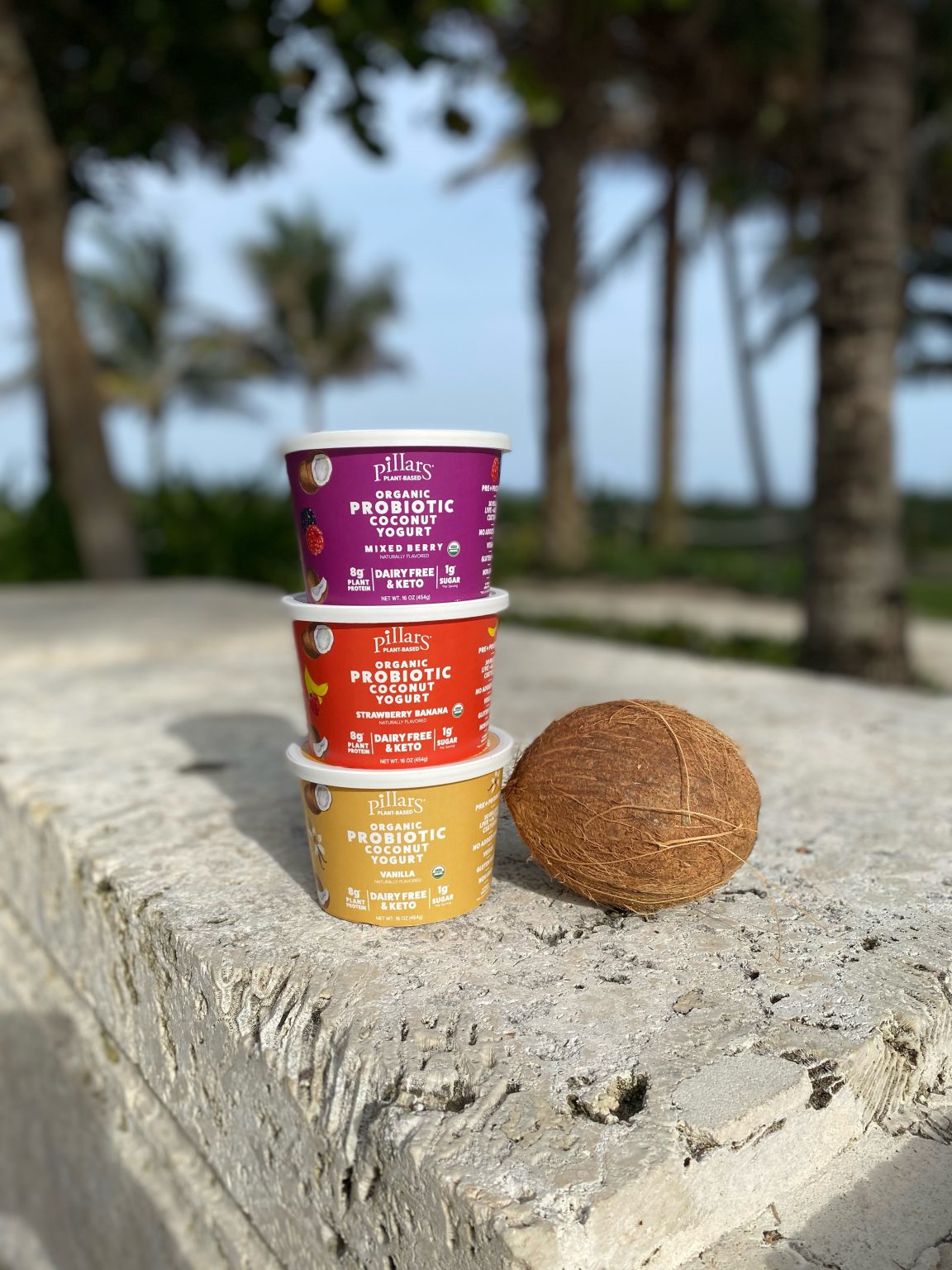 Pillars Yogurt Launches Pillars Plant Organic Coconut Probiotic Yogurt