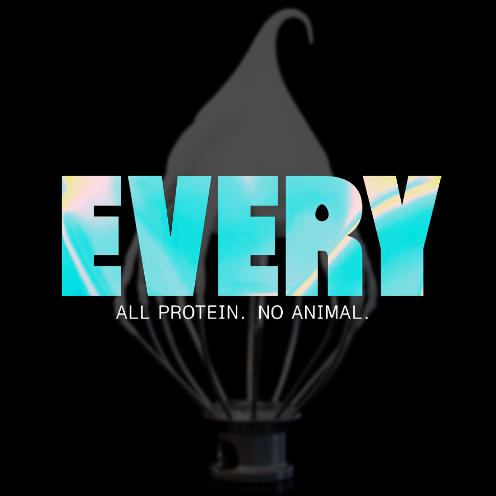 The EVERY Company CEO Shares Details on Rebrand, Potential of Animal ...