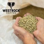 Westrock Coffee to Go Public, Agrees to SPAC Merger