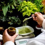 Brightseed Aims to Move into Functional Food Ingredients With New Capital infusion