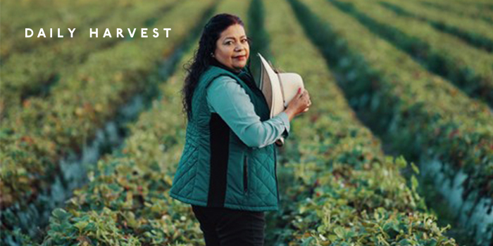 Daily Harvest Regenerative Grant Program