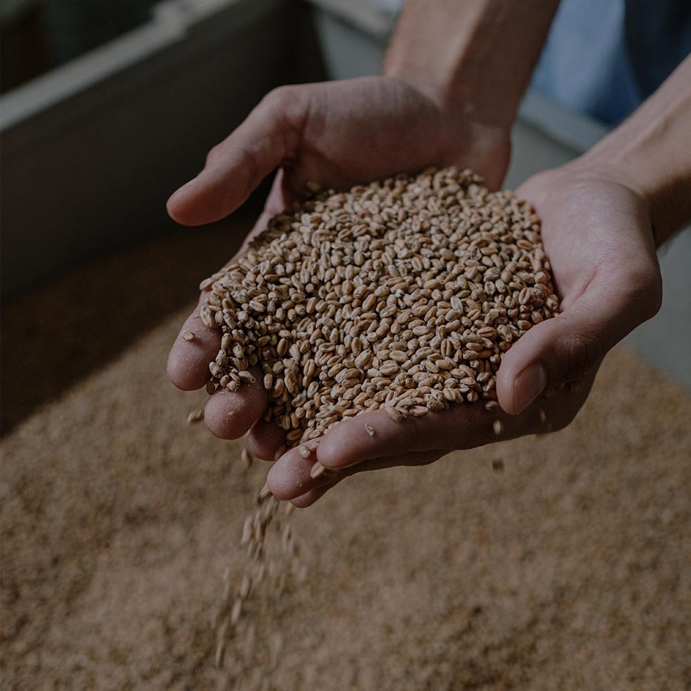 Upcycled Ingredient Makers Eye Brewer’s Spent Grains