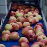 FDA Unveils Food Traceability Final Rule, Disadvantaging Small Food Makers