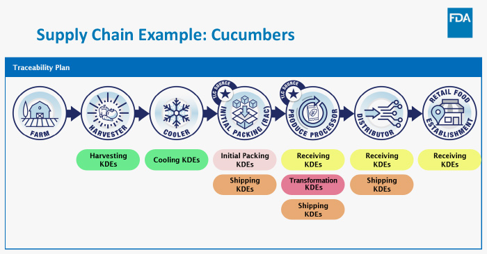 Example of traceability plan