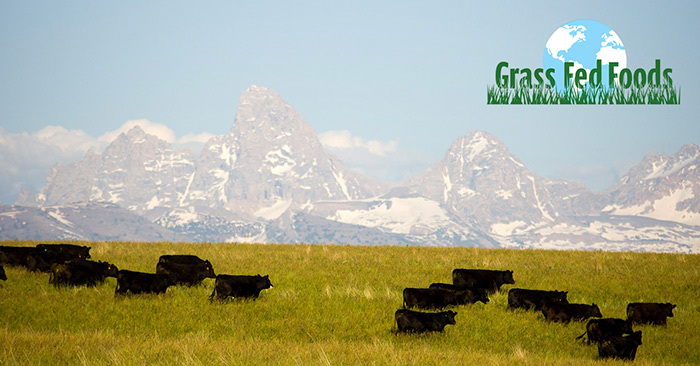 Grass Fed Foods is the merger of Teton Waters Ranch and SunFed Ranch