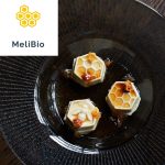 MeliBio Raises $2M, Plans for US Launch