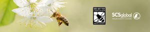 Bee Higher Certification Program Authorizes SCS International Companies as Certifier