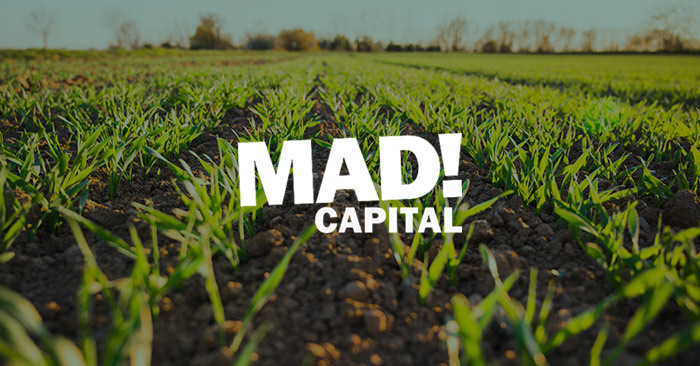 Mad Capital