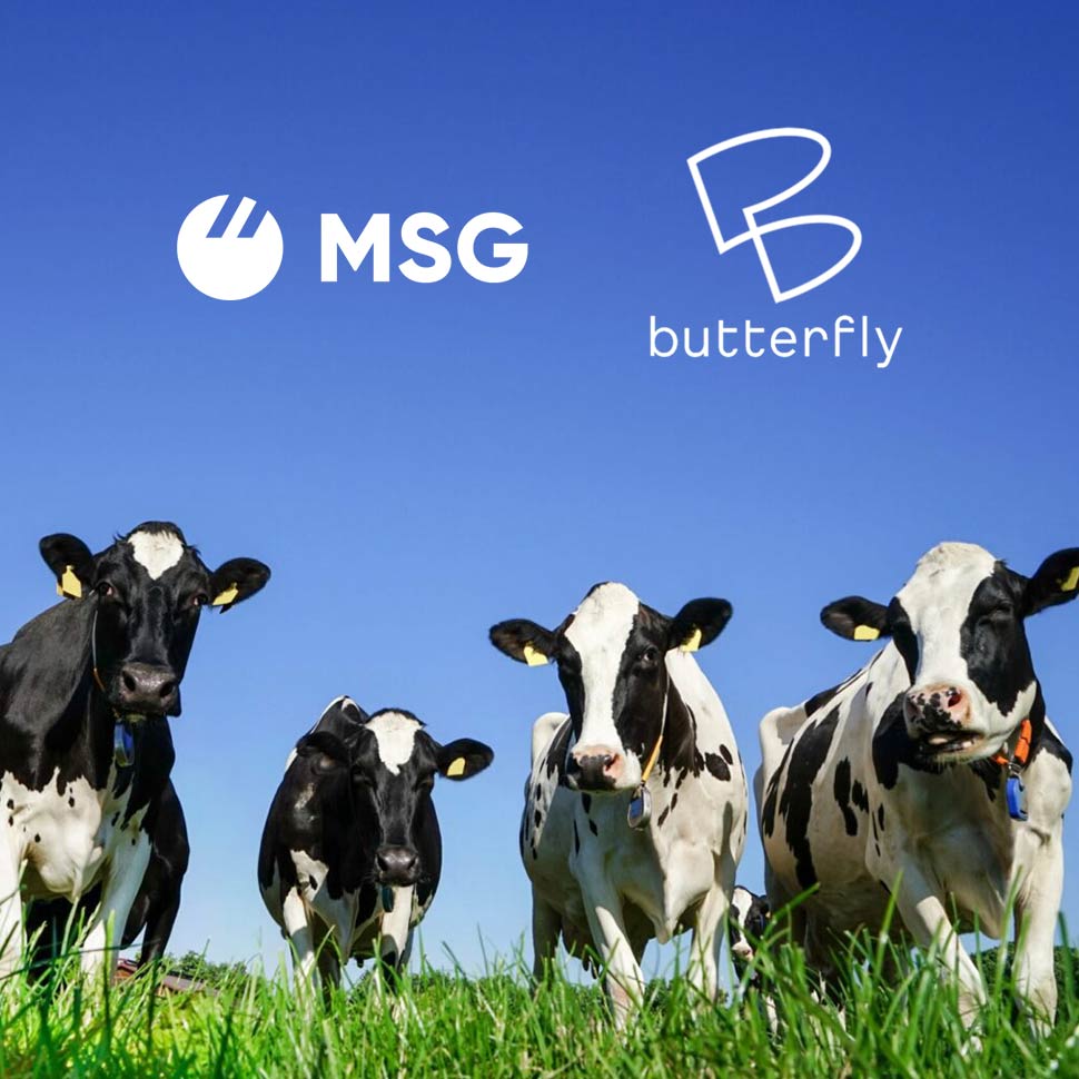 Butterfly Jumps Into Ingredients Acquiring Milk Specialties Global
