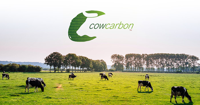 Carbon Credits For Cattle Raising