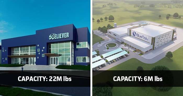Israeli Believer Meats and cultivated seafood company BlueNalu's expected scaled production facilities