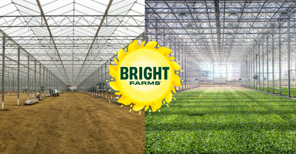 BrightFarms Expands With Four New Regional Salad Greenhouse Hubs | Nosh.com