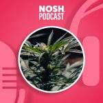 The NOSH Podcast: Will Regulation Smoke Out THC In CPG?