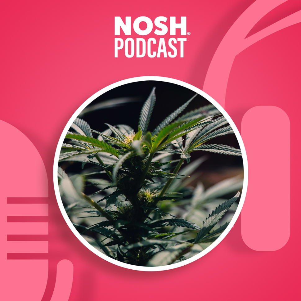 The NOSH Podcast: Will Regulation Smoke Out THC In CPG?