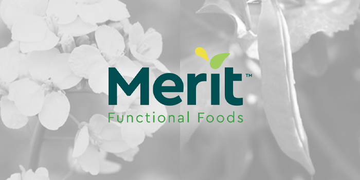 merit