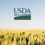 Regulatory Rundown: Here’s Where USDA Priorities Overlap CPG
