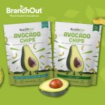 BranchOut Food Closes IPO, Adds New Walmart, Costco Stores