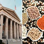How Government Support For Plant Based Means Business