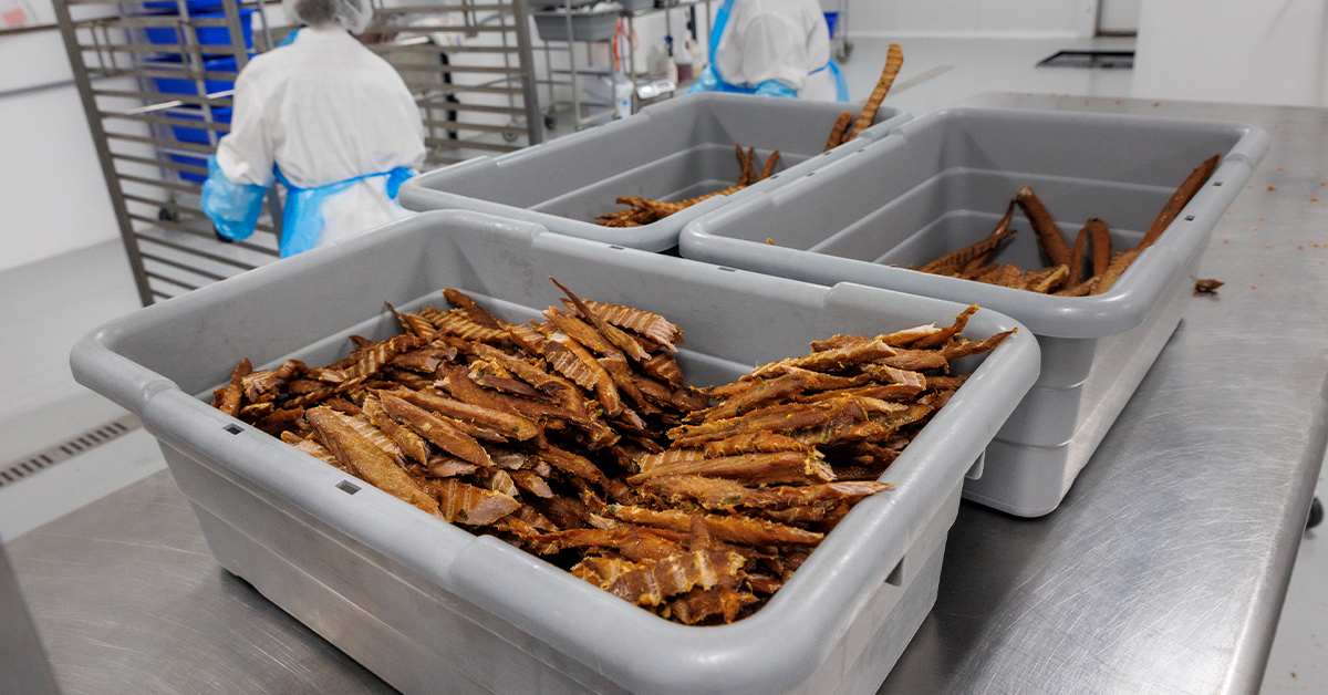 Dried and smoked tuna being processed