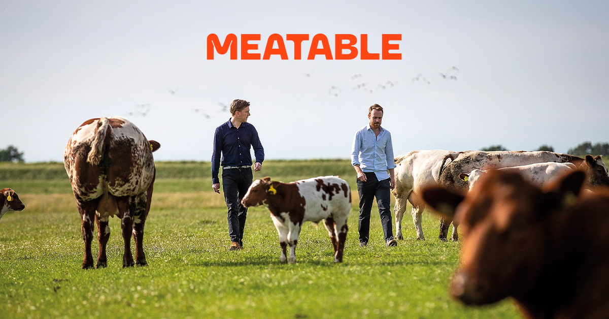 Meatable is positioning itself to supply the meat industry by licensing its cell-cultured meat technology