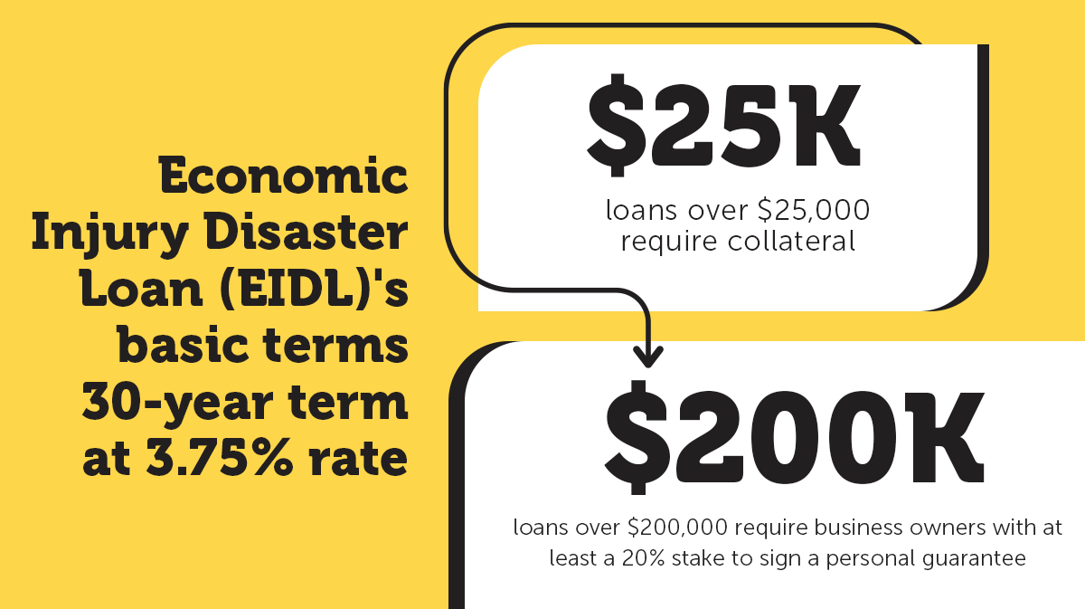 EIDL Loan