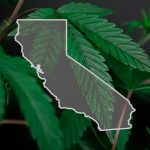 CA Closes The Door On Hemp-Derived THC Products