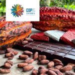 A Bite With… Julia Ocampo, Luker Chocolate’s COP16 Delegate
