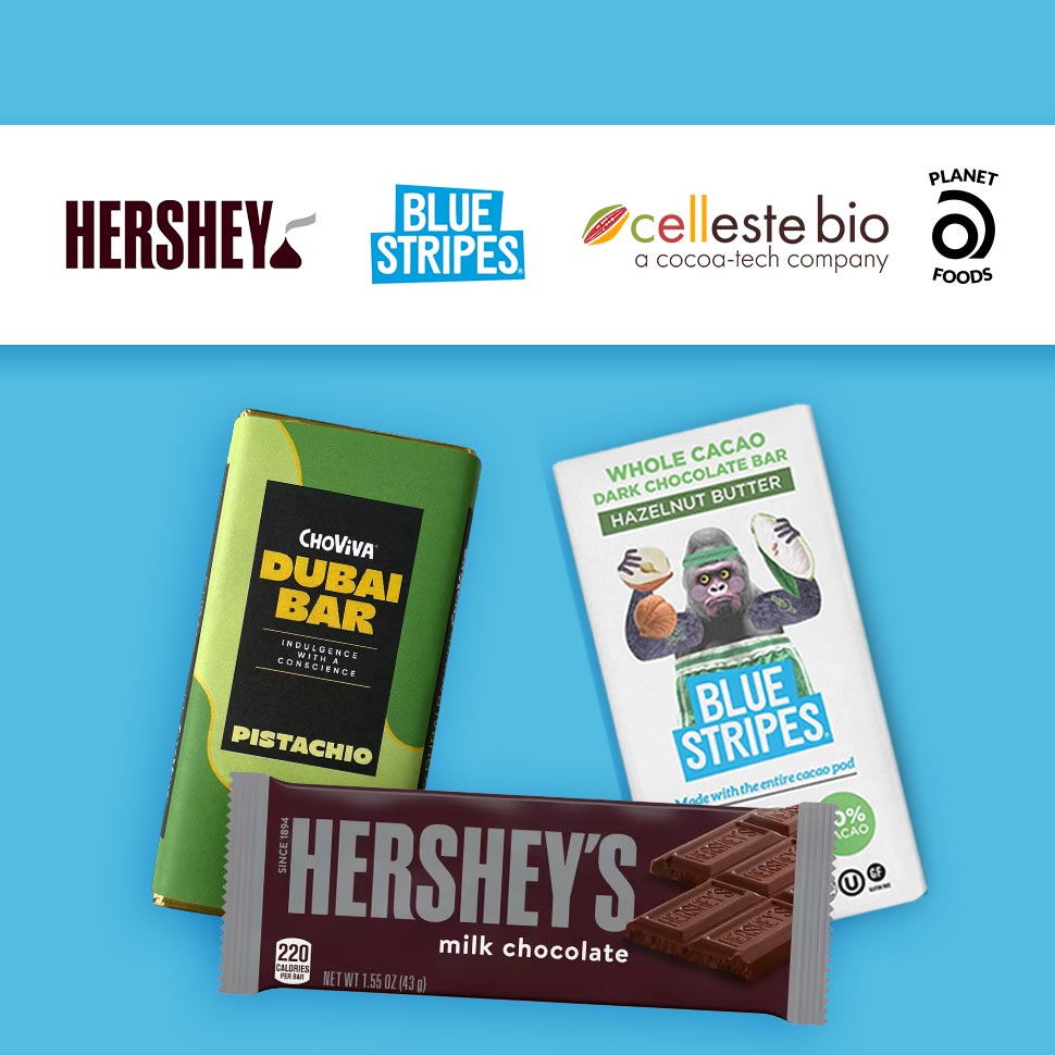 The Year in Chocolate: Prices Surge, Alt-Cocoa Innovators Nab Funding and Expand Production