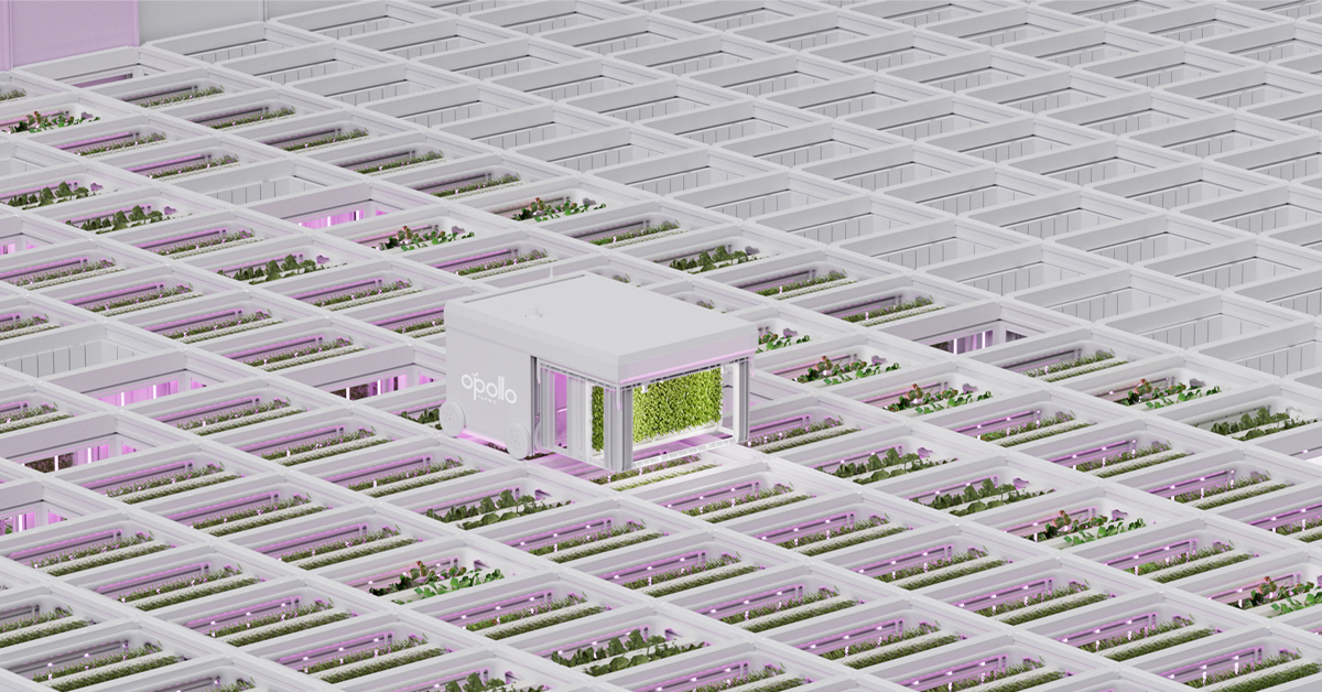 Rendering of a large scale grow Opollo Farm grow facility
