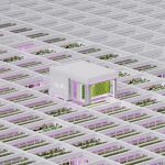 ‘Rubik’s Cube’ Innovation Addresses Vertical Farming Scalability