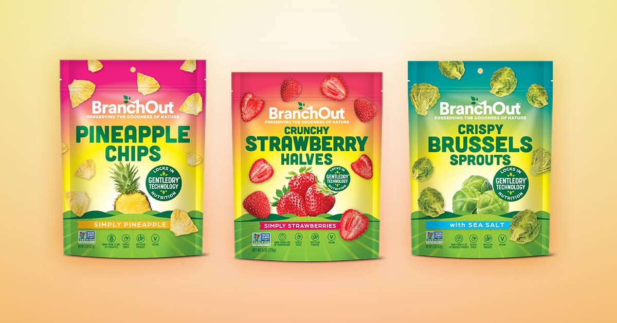 A few of BranchOut Food's dehydrated produce snacks